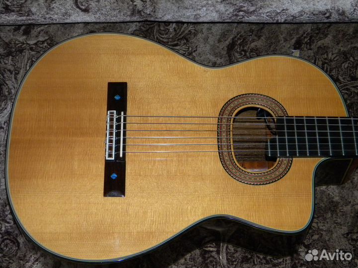 Takamine NPT315