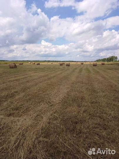 Сено в рулонах