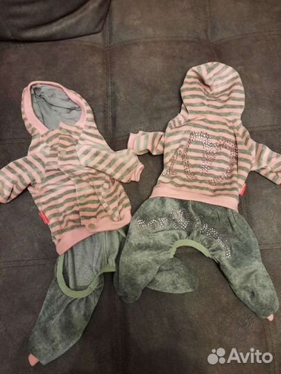 Велюровый костюм для собак ForMyDogs