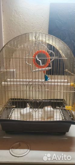 Клетка для попугая