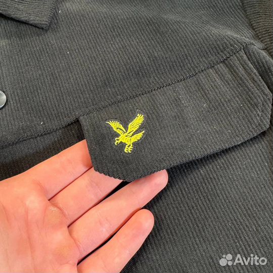 Рубашка вельветовая Lyle scott (s-2xl)