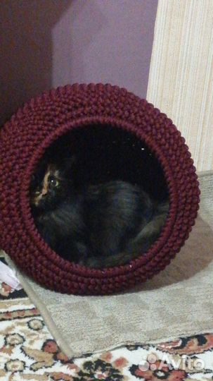 Домик лежанка для кошки