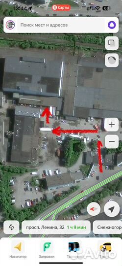 Кальмар свежемороженный