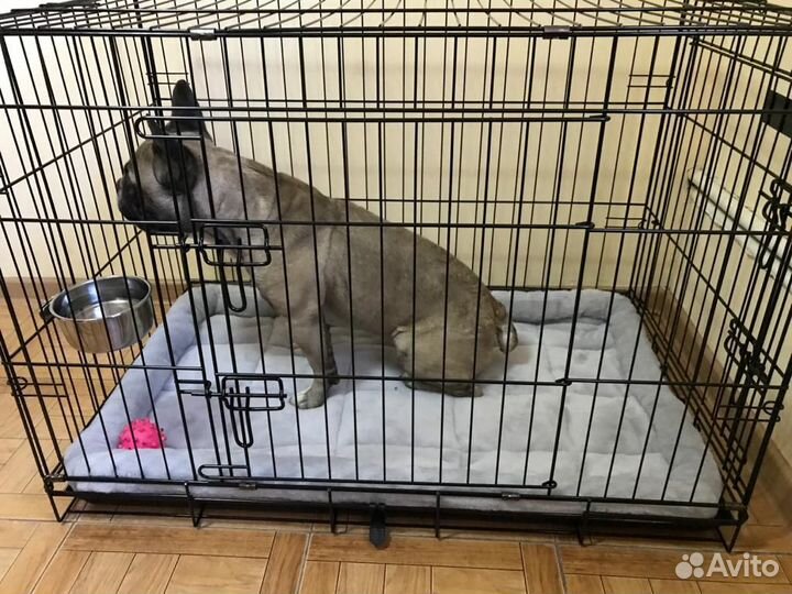 Клетка для собак №4 двухдверная