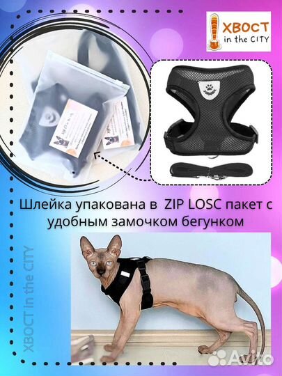 Готовый бизес на вб озон. Шлейки для собак и кошек