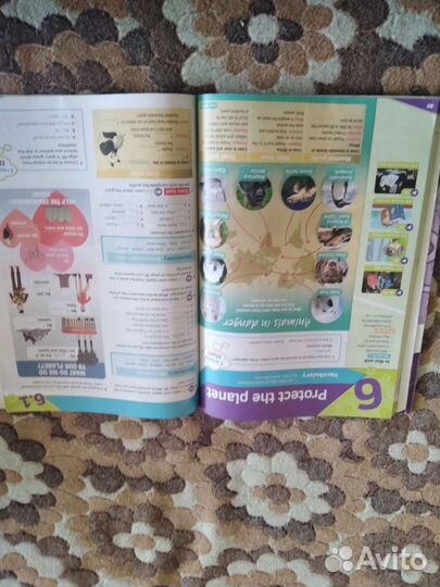 Учебник и тетрадь по английскому языку