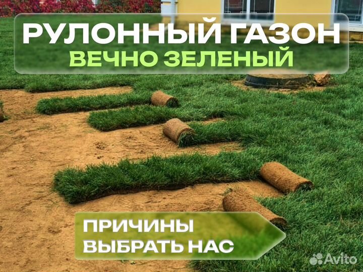 Рулонный газон. От производителя