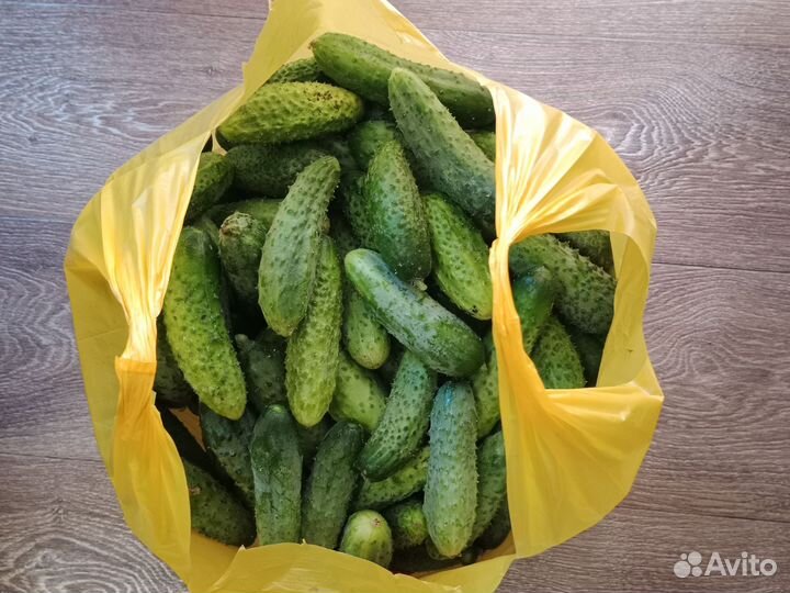 Огурцы свежие домашние