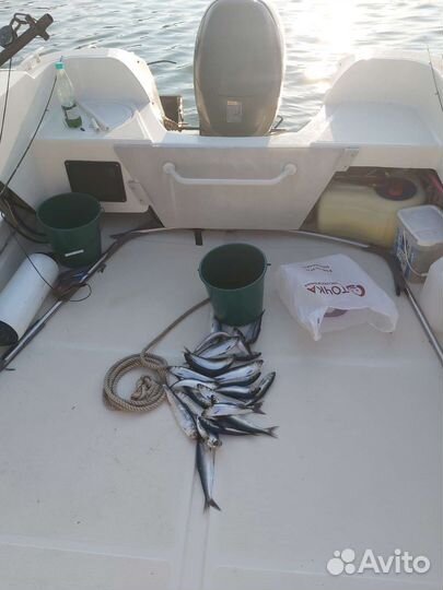 Катер smartliner 21