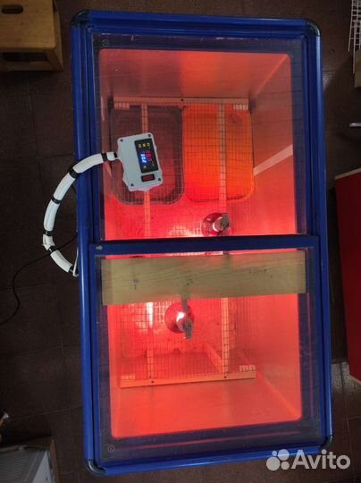 Брудер для цыплят бу