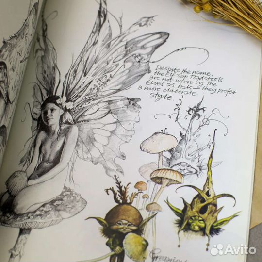 Книга Феи Браяна Фрауда Faeries Brian Froud