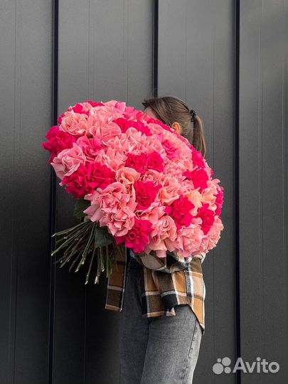 71 французская роза