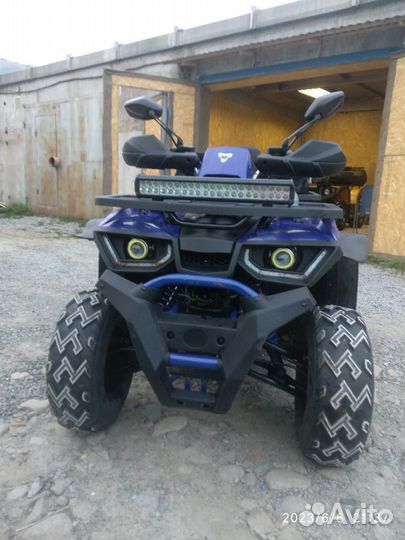 Avantis hunter 200 new