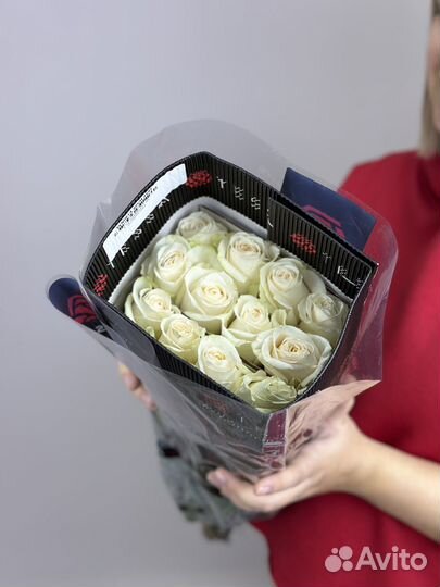 Розы эквадор Вендела