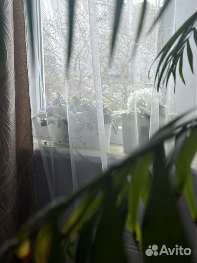 Мытье окон