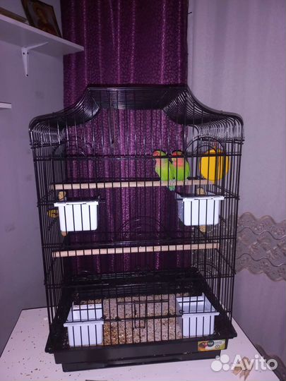 Клетка для попугаев