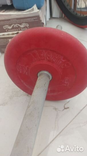 Гантеля с блинами Barbell