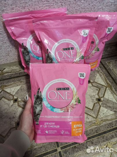 Purina one для котят