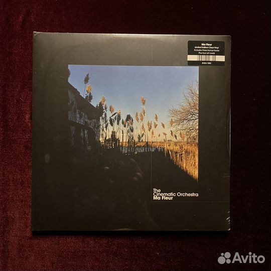 Цветной винил The Cinematic Orchestra «Ma Fleur»