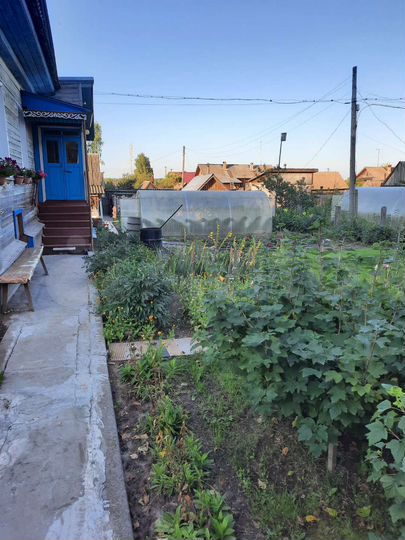 Дом 41,5 м² на участке 4,9 сот.