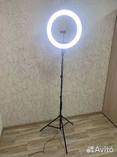 Аренда Кольцевой лампы 45 см со штативом