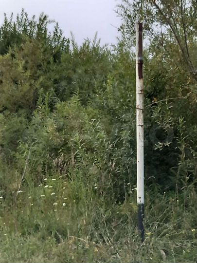 Участок 50 сот. (ИЖС)