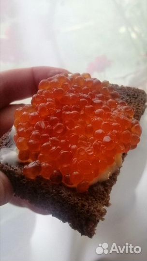 Икра горбуши