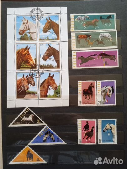 Альбомы с марками. Фауна. Фото страниц альбомов