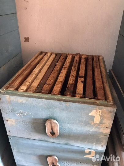 Ульи для пчел