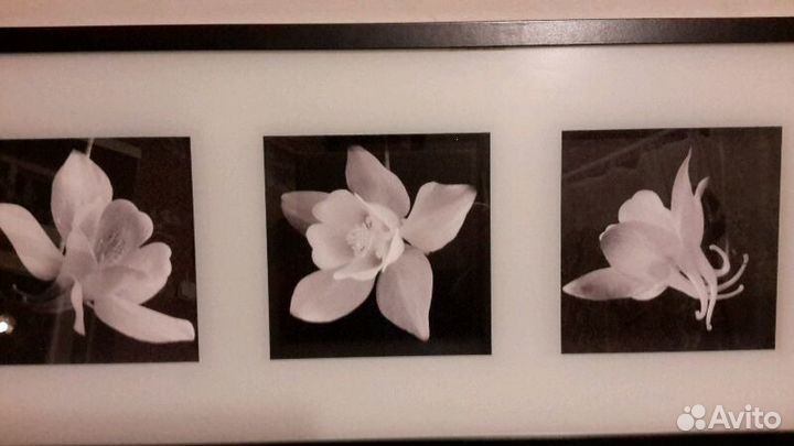 Картина. Икея