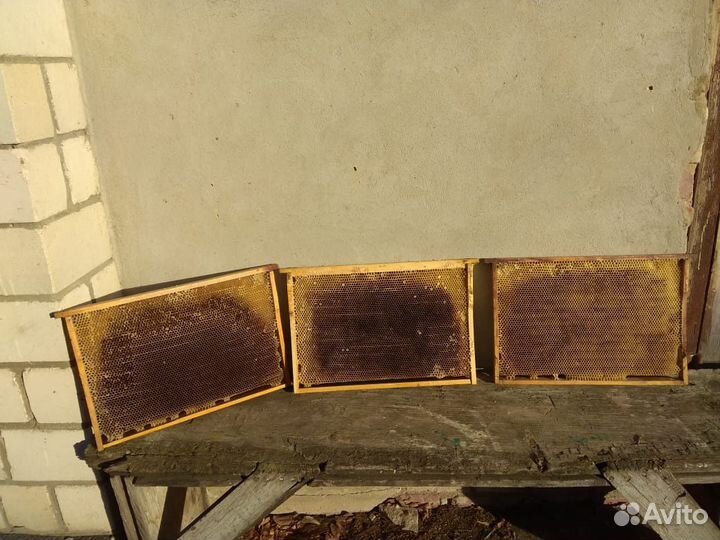 Продам сушь рамки «дадан»