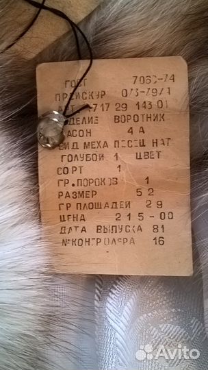 Голубой песец