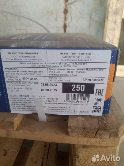 Креветка северная 250+
