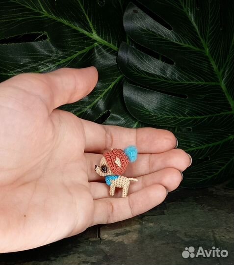 Микро щеночек. Забронирован