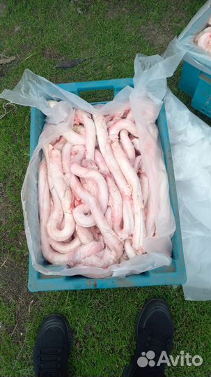 Говяжий суб продукты