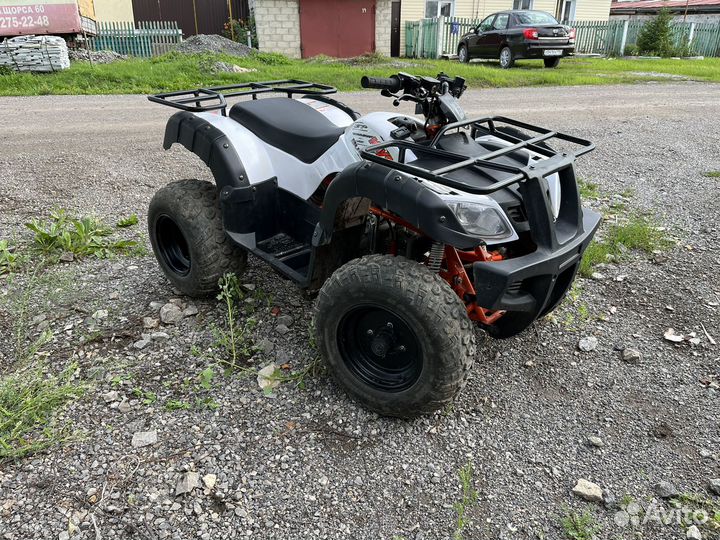 Kayo bull 2B