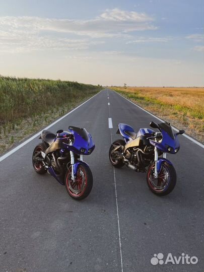 Buell xb12r ThunderStorm мотоцикл