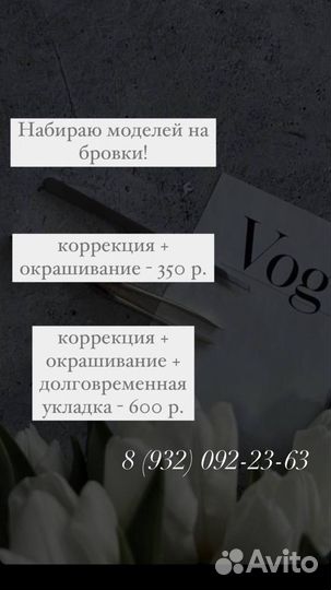 Мастер бровист