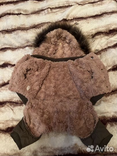 Зимний комбинезон для средней собаки