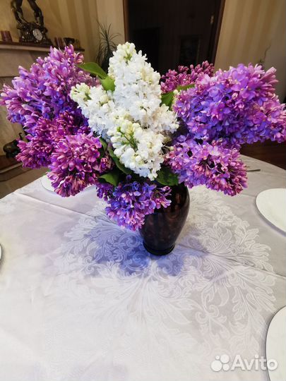 Букеты сирени сортовой крупноцветковой, шикарные