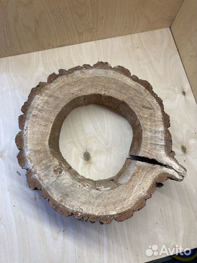 2 спила дуба для творчества