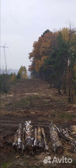 Услуги экскаватора(мульчер)