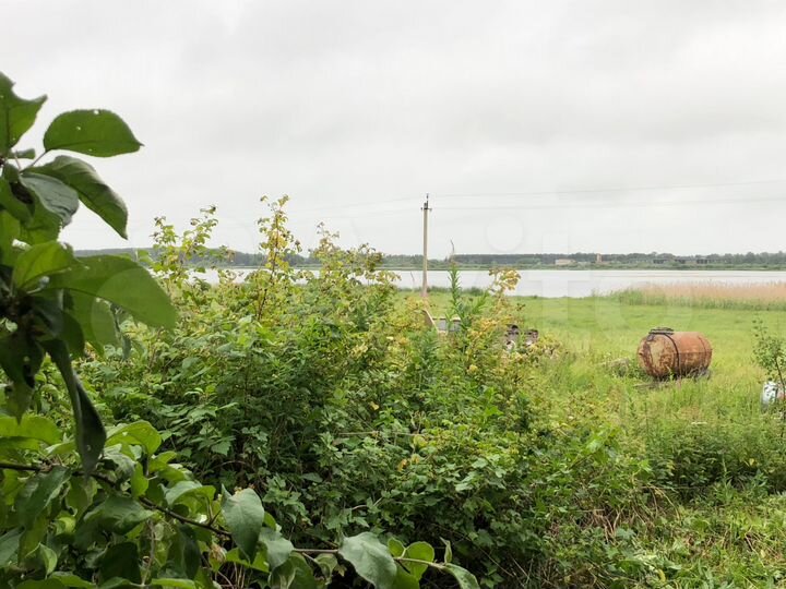 Участок 6 сот. (СНТ, ДНП)