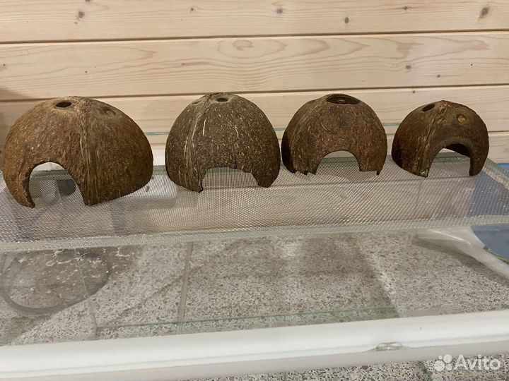 Террариумы, декорации