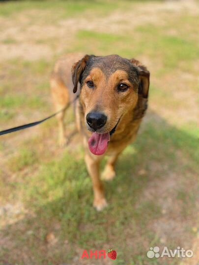 Старичок Кит ищет семью