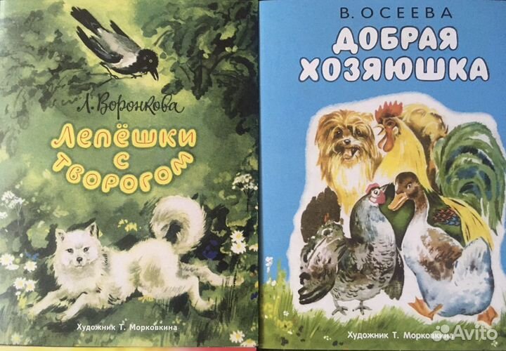 Книжка- раскладушка