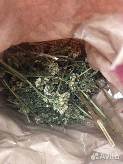 Березовый лист весенний сбор сухой