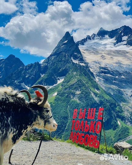 Кав Мин Воды - Автобусный тур + Элиста