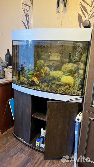 Аквариум с тумбой 200 литров