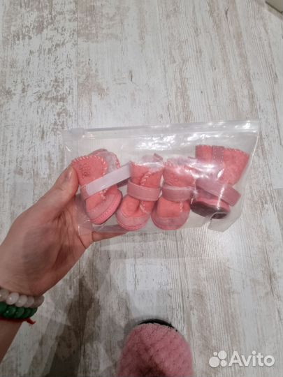 Ботинки для собак